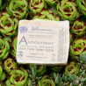 Savon ANTIOXYDANT Curcuma, Miel, Karité – aux ingrédients bio et naturels