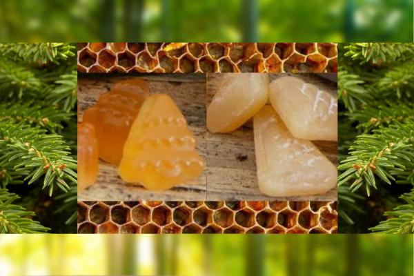 Produits de la ruche - Confiseries - Sirops